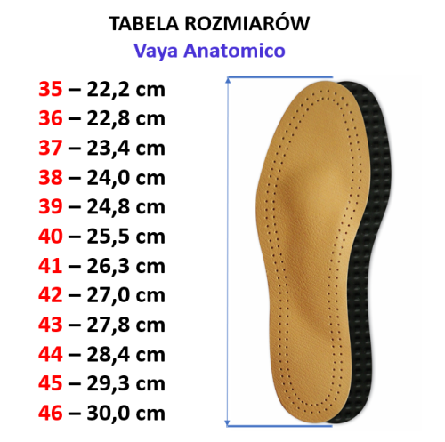 Anatomico tabela rozmiarów.PNG