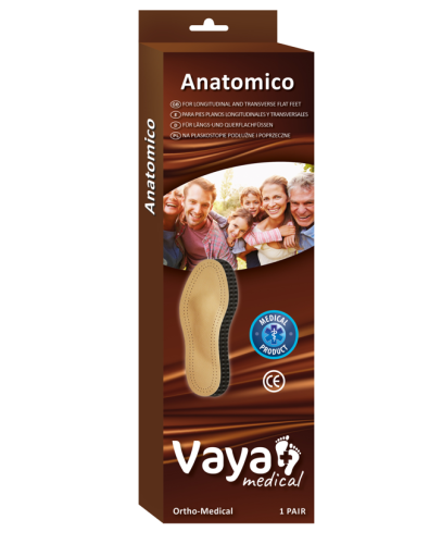 Anatomico pudełko png.PNG