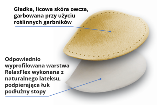 Arcus warstwy opisane.PNG