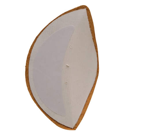 Arcus spód.PNG