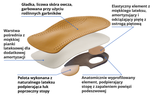 Plantaro warstwy opisane.PNG