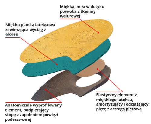 Plantico aloe warstwy opisane.png