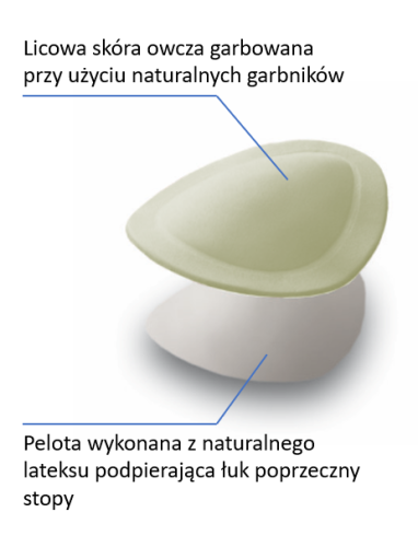 Forma 02.png