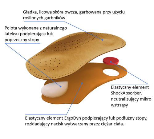 Novum warstwy opisane.png