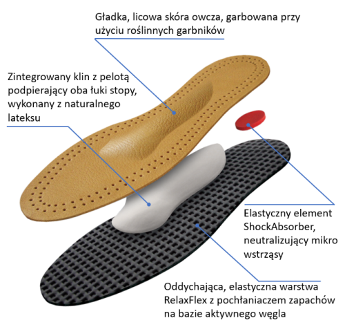 Anatomico warstwy_opis z akt.węglem.PNG
