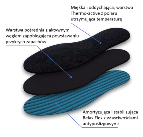 Polarus warstwy opisane.png