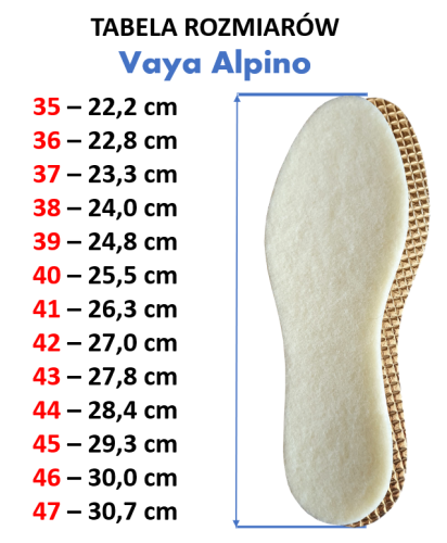 Alpino_tabela rozmiarów.png