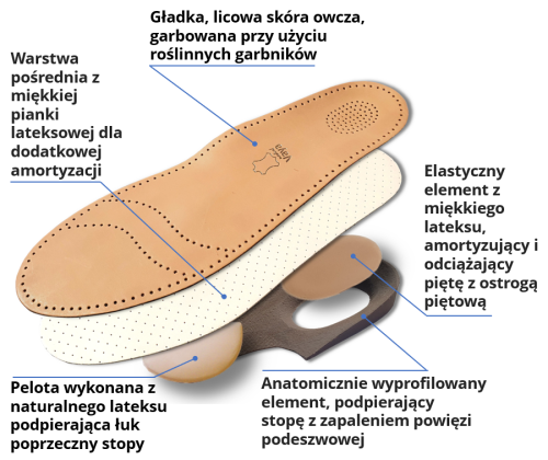 Plantaro Vitale warstwy opisane.png
